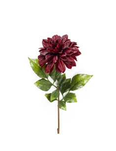 CRISANTEMO ROSSO CON STELO DORATO