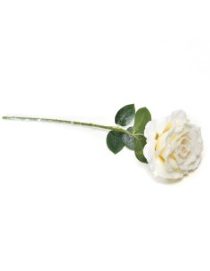 ROSA BIANCA INNEVATA 52 CM
