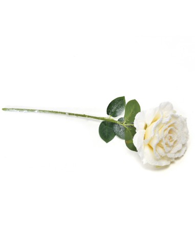 ROSA BIANCA INNEVATA 52 CM