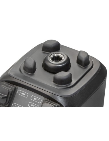 RIO HAMILTON BEACH LT.1,4