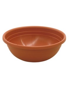 CIOTTOLA CLIVIA CM. 60