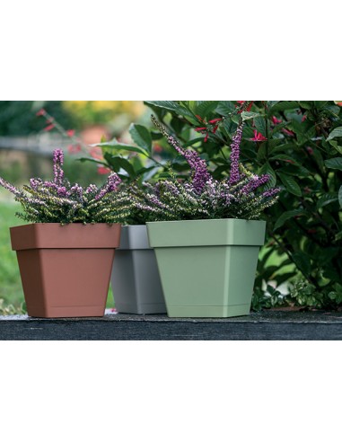 VASO QUADRO C-SMART 23x23 COTTO