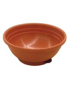 CIOTTOLA SERENELLA CM.20