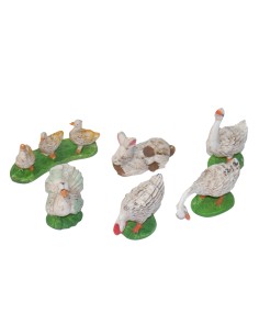 CONF.ANIMALI DA CORTILE ASS.