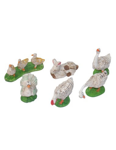 CONF.ANIMALI DA CORTILE ASS.